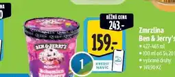 Albert Zmrzlina Ben & Jerry's 427-465 ml nabídka