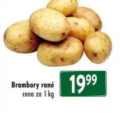 Qanto Brambory rané nabídka