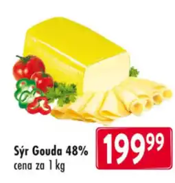 Qanto Sýr Gouda 48% nabídka