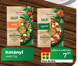 Tamda Foods Kotányi salát nabídka