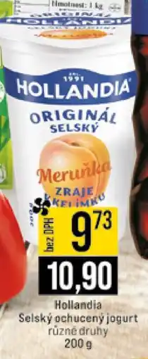 Jip Hollandia nabídka