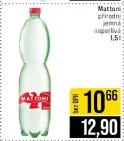 Jip Mattoni nabídka