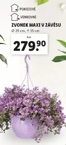 Lidl Zvonek maxi v závěsu nabídka