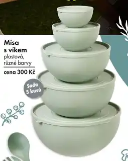 TEDi Mísa s víkem nabídka