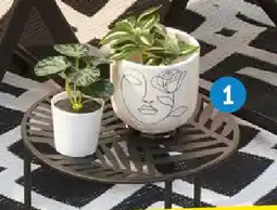 TEDi Květináč nabídka