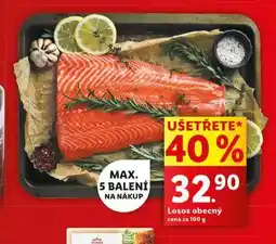Lidl Losos obecný nabídka