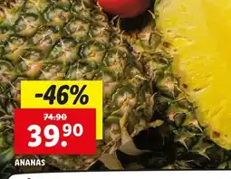 Lidl Ananas nabídka