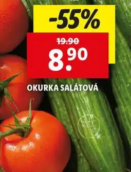 Lidl Okurka salátová nabídka
