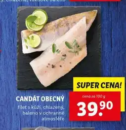 Lidl Candát obecný nabídka