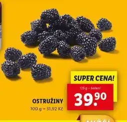 Lidl Ostružiny nabídka