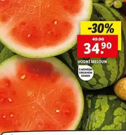 Lidl VODNÍ MELOUN nabídka