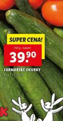 Lidl FARMÁŘSKÉ OKURKY nabídka