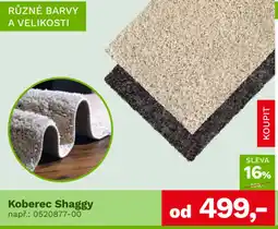 Asko Koberec Shaggy nabídka