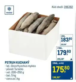 Makro PSTRUH KUCHANÝ nabídka
