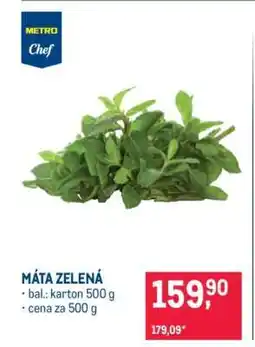 Makro Máta zelená nabídka