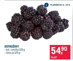 Makro Ostružiny nabídka