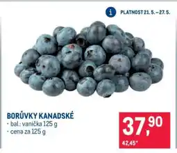 Makro Borůvky kanadské nabídka