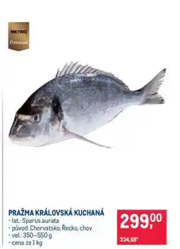 Makro Pražma královská kuchaná nabídka