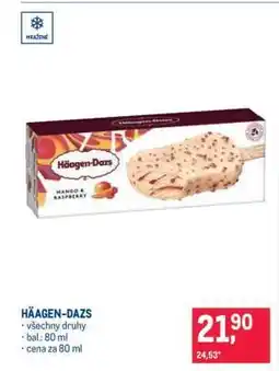 Makro Häagen Dazs nabídka