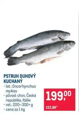 Makro Pstruh duhový kuchaný nabídka