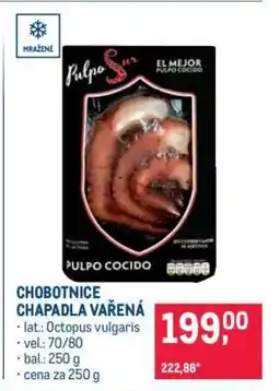 Makro Chobotnice chapadla vařená nabídka