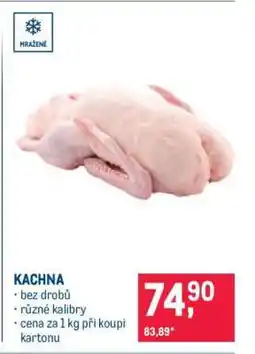 Makro KACHNA nabídka