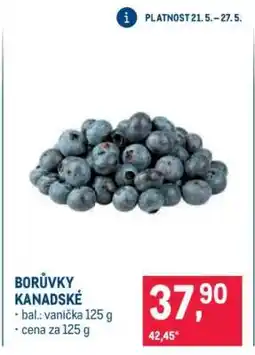 Makro Borůvky kanadské nabídka