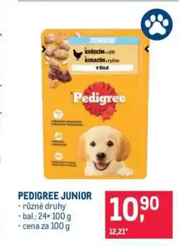 Makro PEDIGREE JUNIOR nabídka