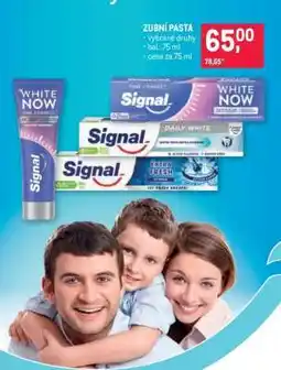 Makro Zubní pasta nabídka
