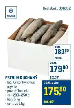 Makro PSTRUH KUCHANÝ nabídka