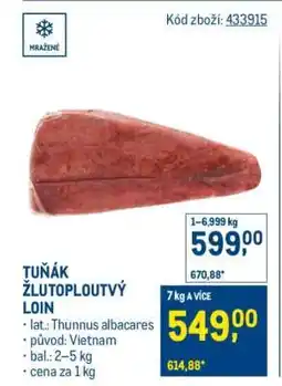 Makro TUŇÁK ŽLUTOPLOUTVÝ LOIN nabídka