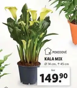 Lidl Kala mix nabídka