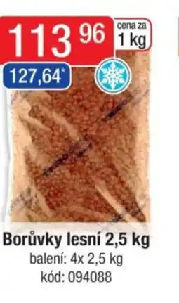 Qanto Borůvky lesní nabídka