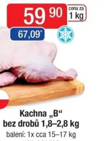 Qanto Kachna,,B❝ bez drobů nabídka
