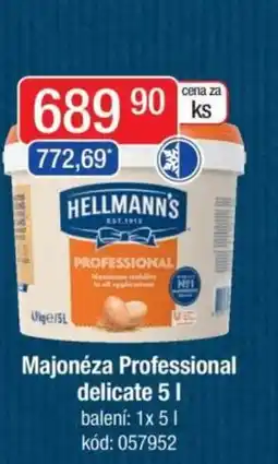 Qanto HELLMANN'S Majonéza Professional delicate nabídka