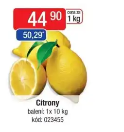 Qanto Citrony nabídka