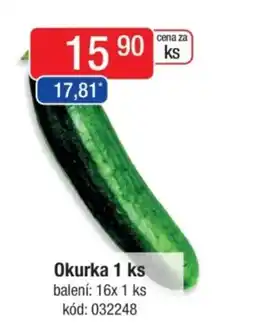 Qanto Okurka nabídka