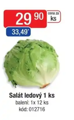 Qanto Salát ledový nabídka