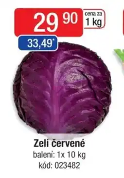 Qanto Zelí červené nabídka
