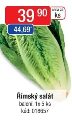Qanto Římský salát nabídka