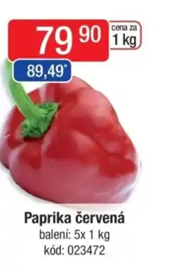 Qanto Paprika červená nabídka