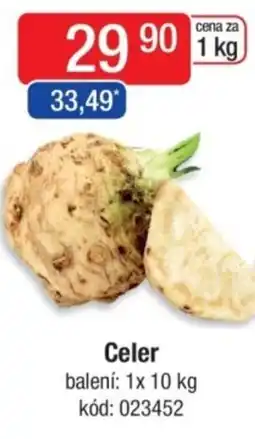 Qanto Celer nabídka