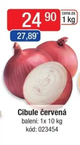 Qanto Cibule červená nabídka
