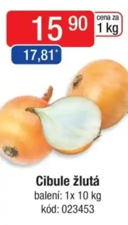 Qanto Cibule žlutá nabídka