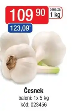 Qanto Česnek nabídka