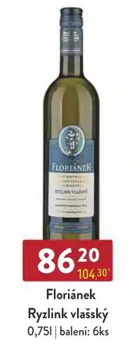 Floriánek Ryzlink vlašský