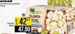 Jip Květák 450 g nabídka