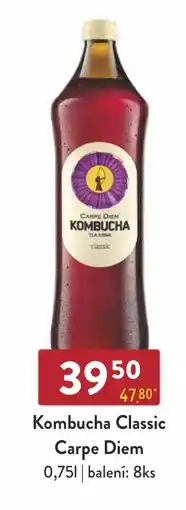 Astur&Qanto Kombucha Classic Carpe Diem nabídka