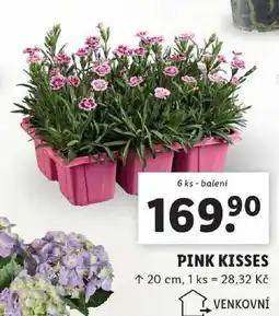 Lidl PINK KISSES, 6 ks nabídka