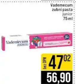 Vademecum zubní pasta junior 75ml